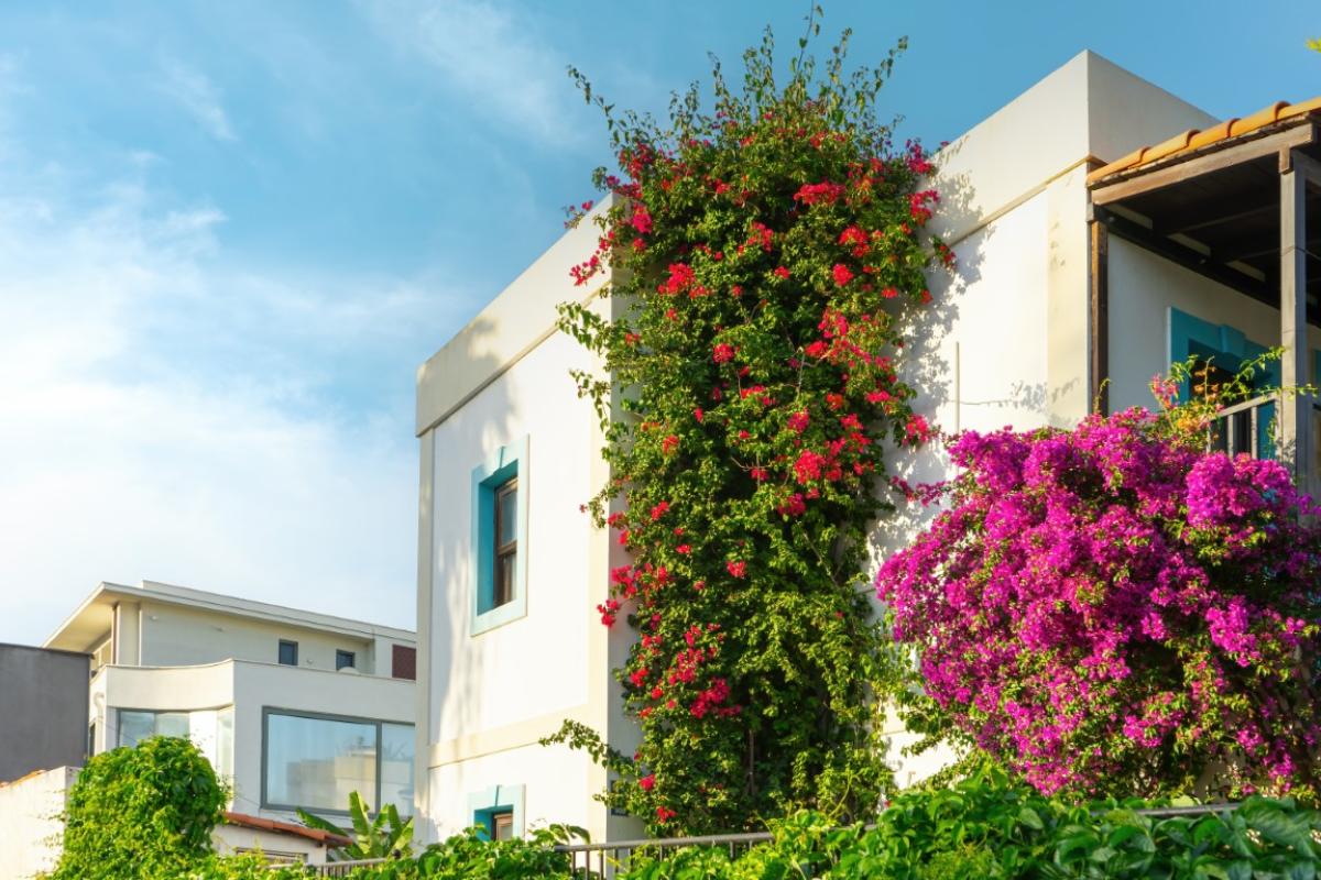 A charming boutique hotel in Bodrum