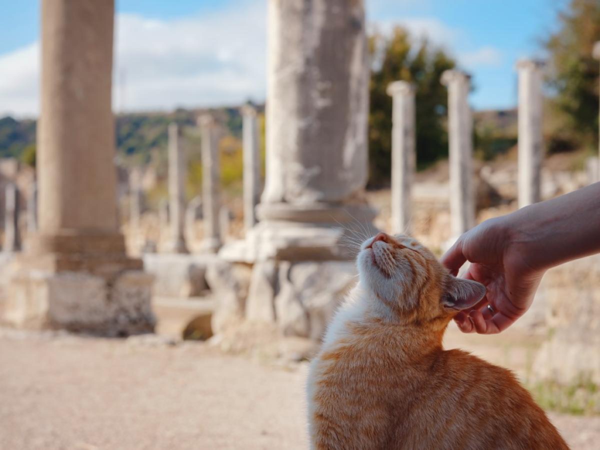 Ancient ruins in Patara