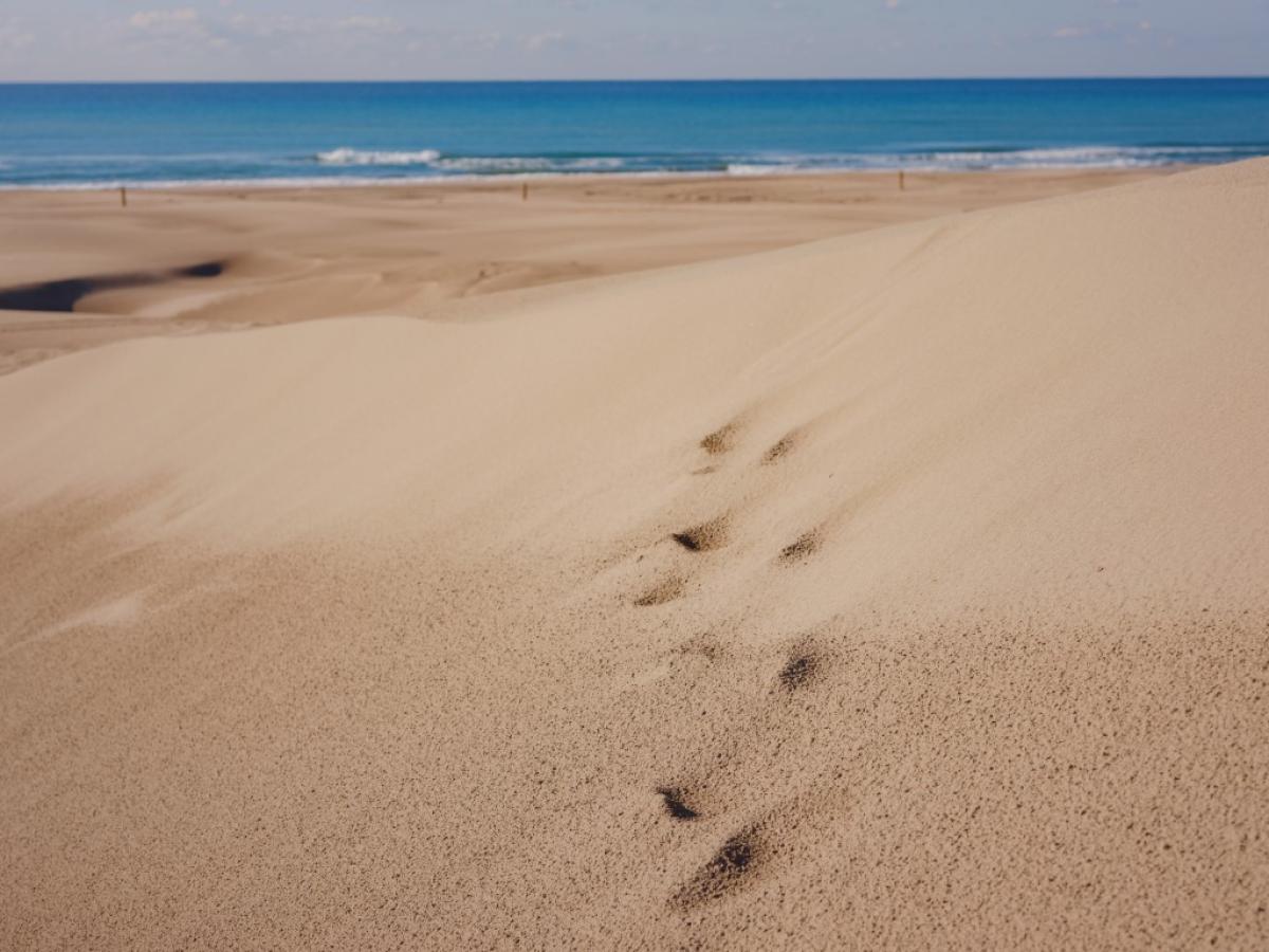 Patara Beach's long sandy stretch